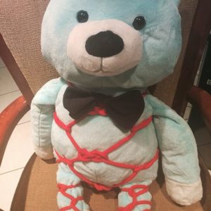 A blue teddy bear tied up in a body harness